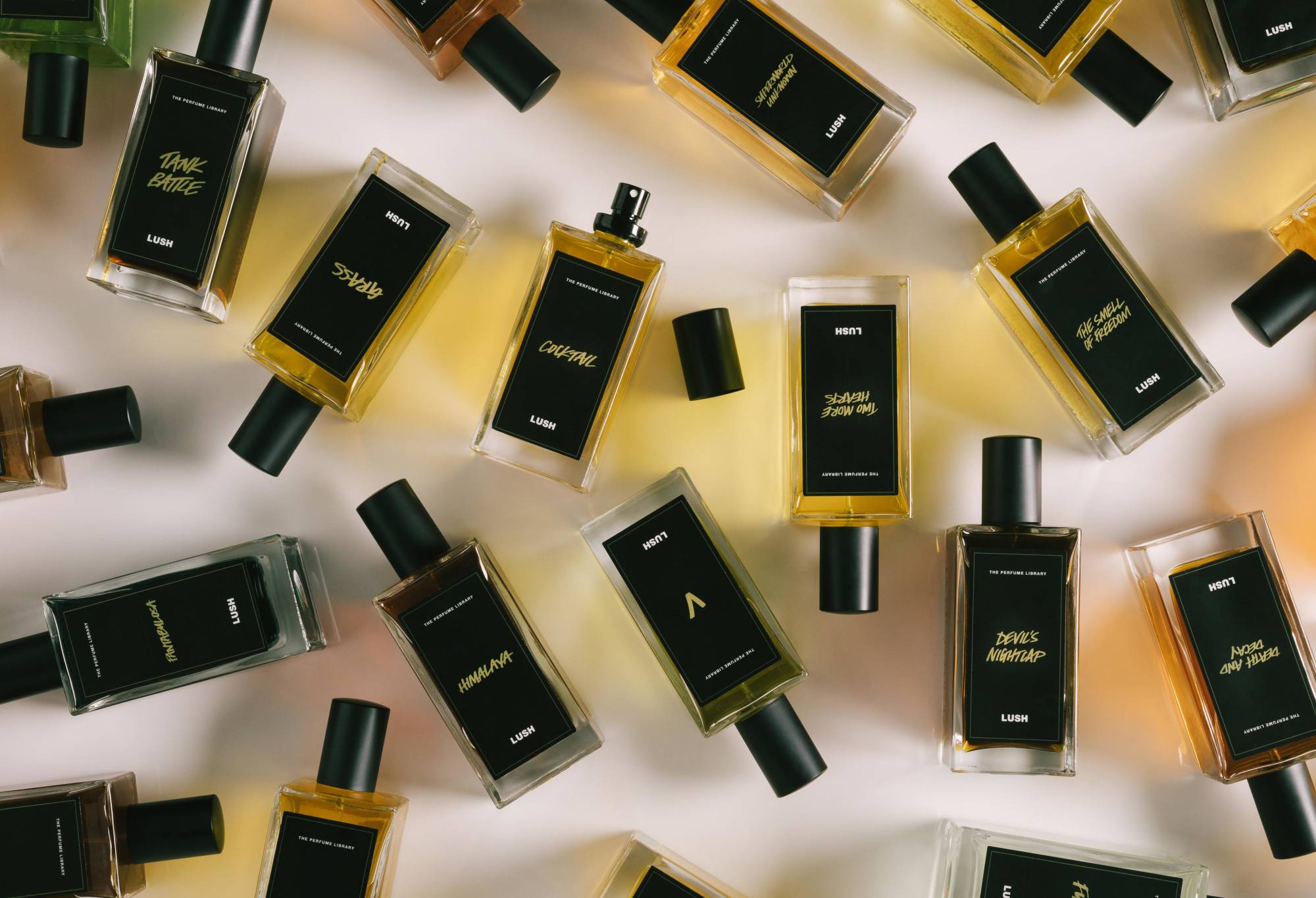 30B3D578-6E30-C276-20A5-BE1B1B387966