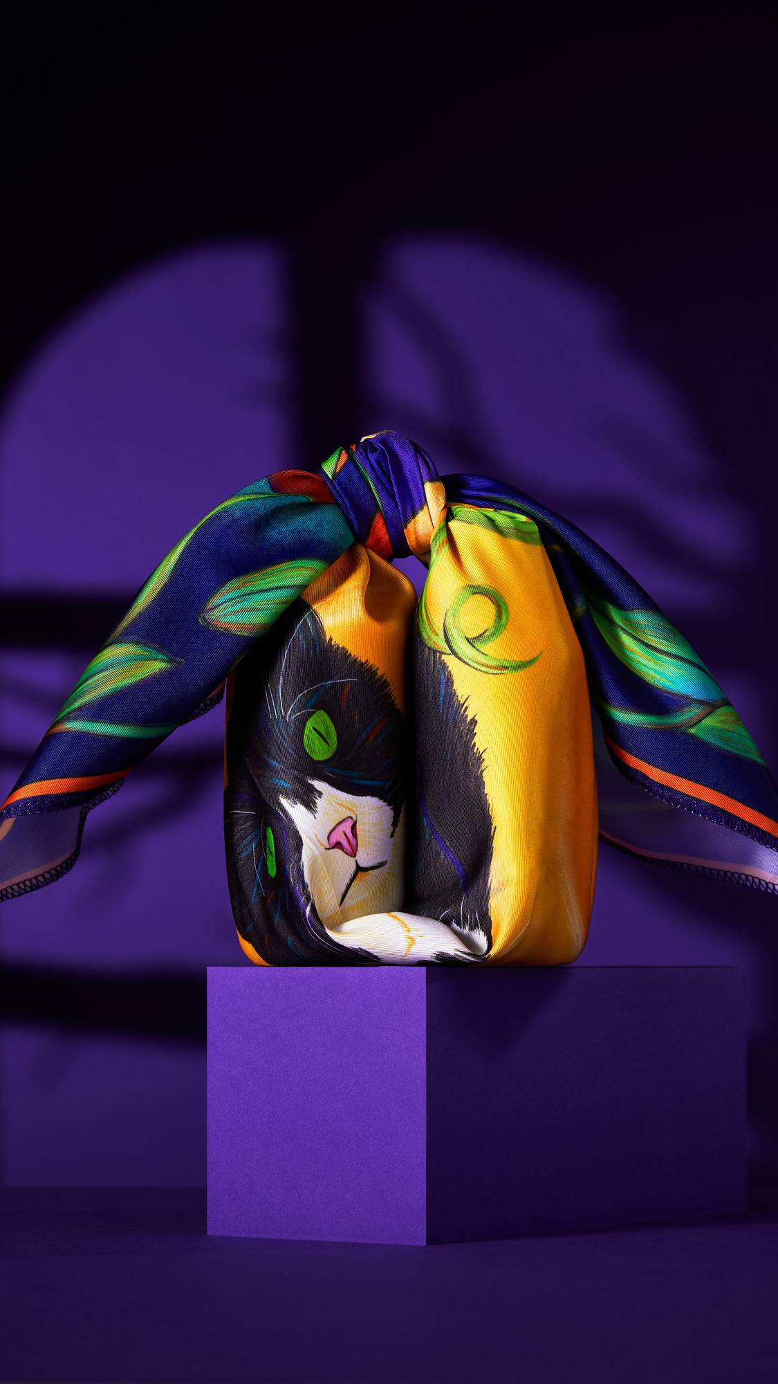 57515AA0-E7BC-4DDD-FFF3-75AED8BBED3B